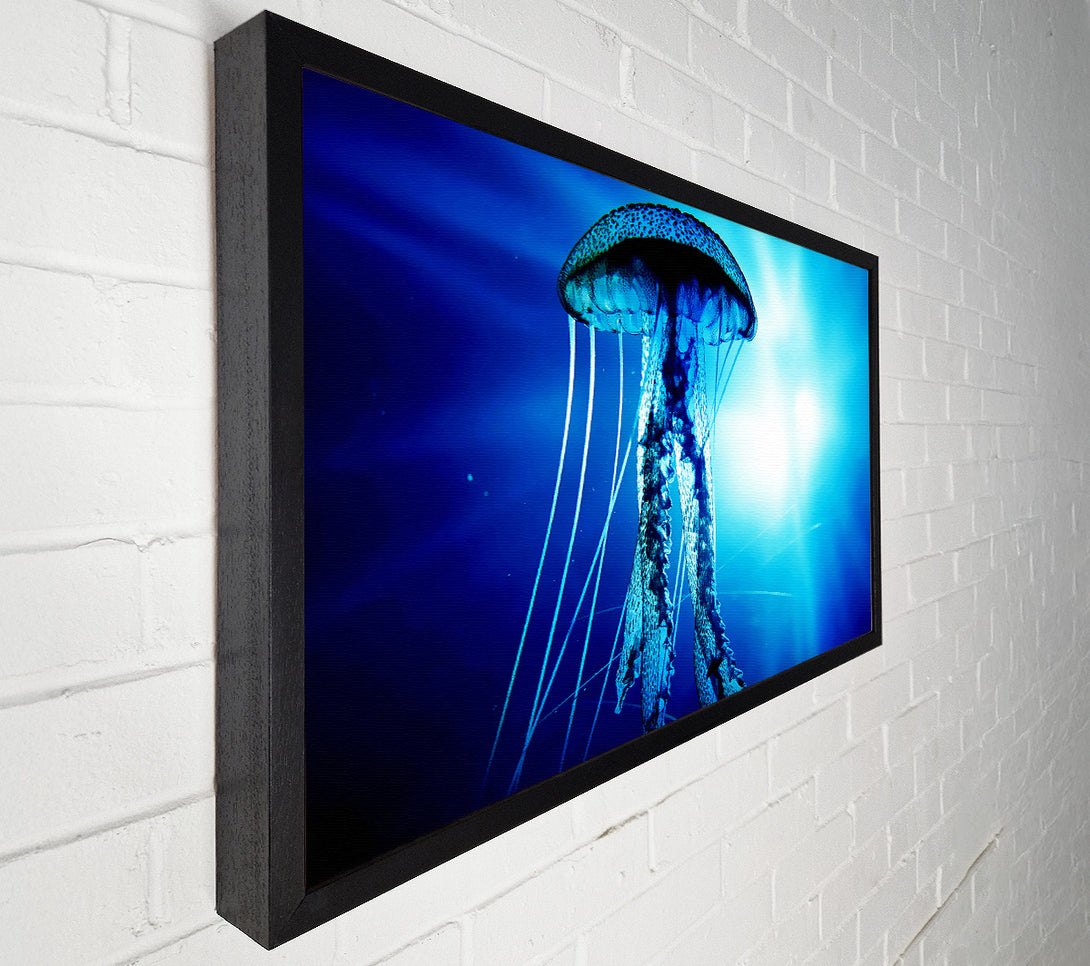  A Canvas Print of Electric Blue Jellyfish Canvas Art
