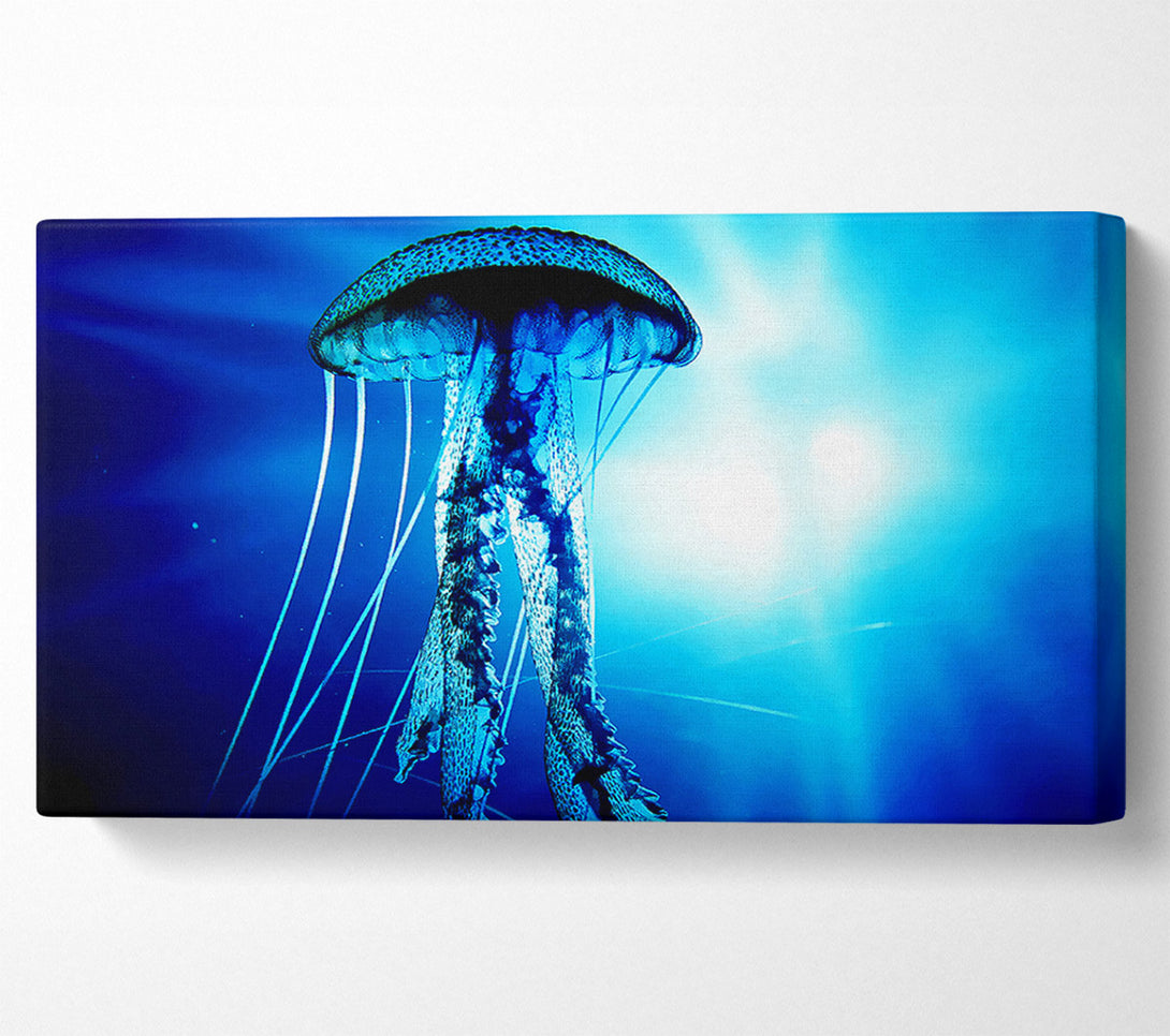 A Canvas Print of Electric Blue Jellyfish Canvas Art