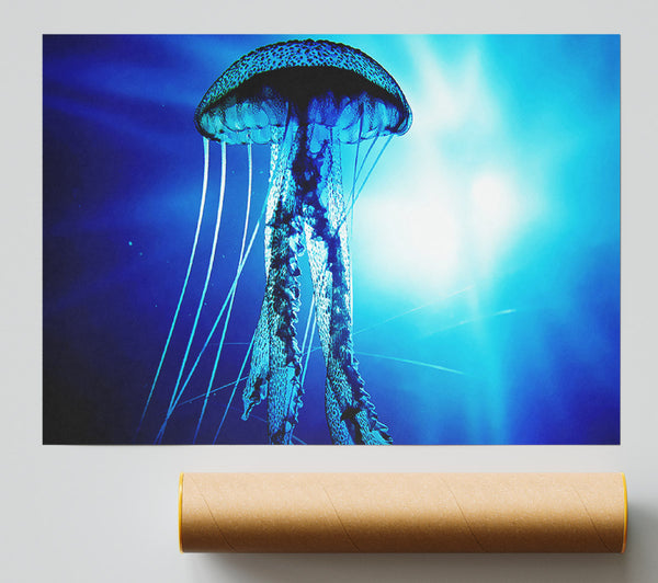 Electric Blue Jellyfish Print