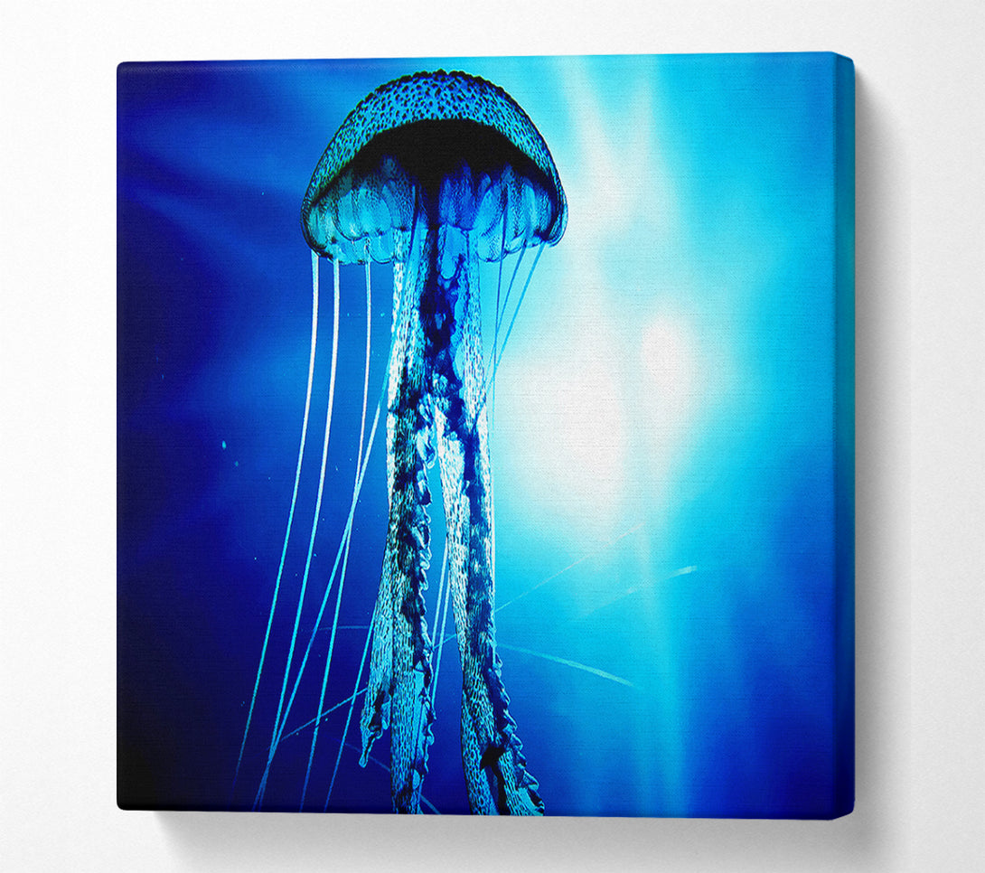  A Canvas Print of Electric Blue Jellyfish Canvas Art