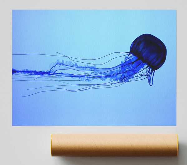 Elegant Jellyfish Giclee Print