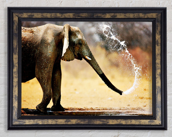 Elephant Bath Framed Print