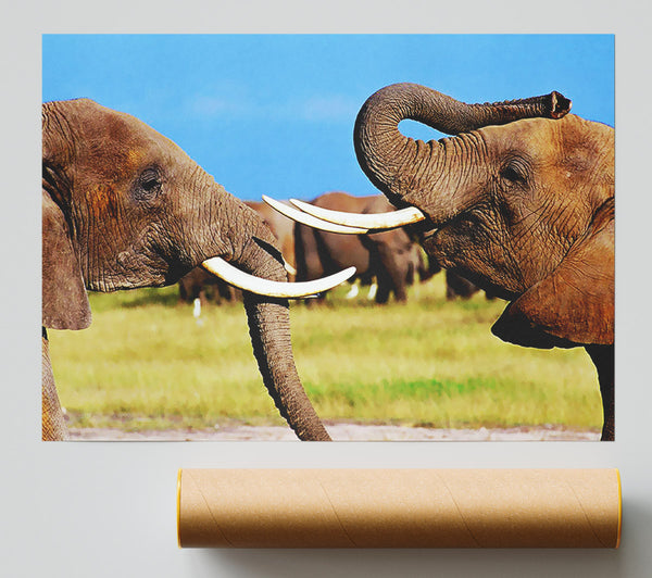 Elephant Chat Poster
