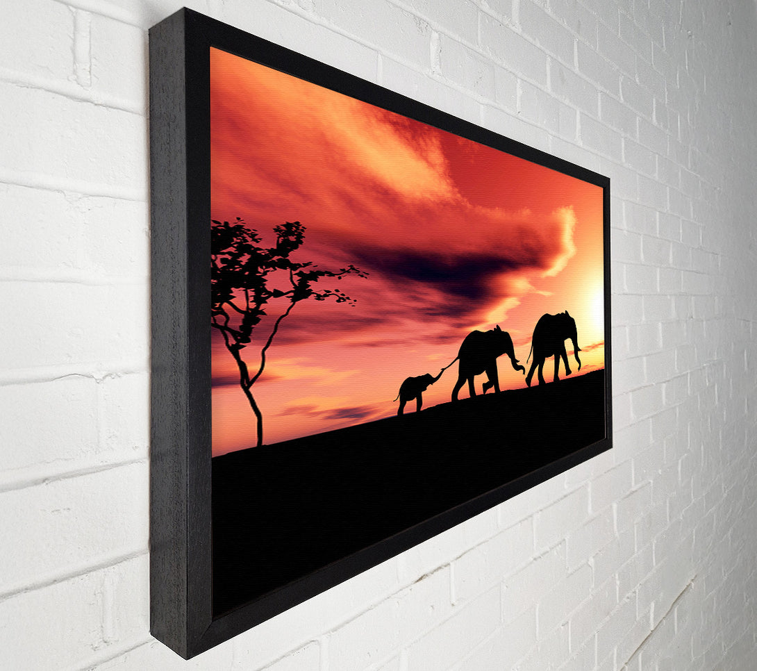  A Canvas Print of Elephant Family Sunset Canvas Art