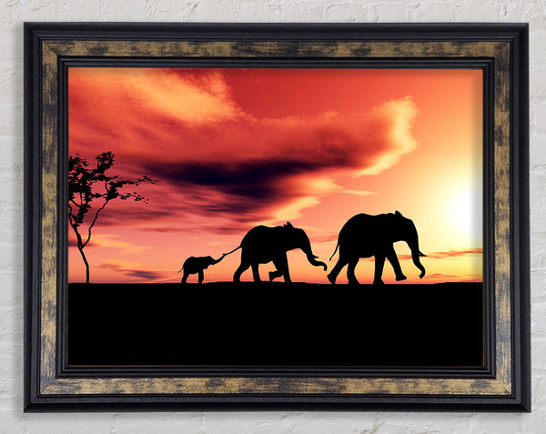 Elephant Family Sunset Framed Print