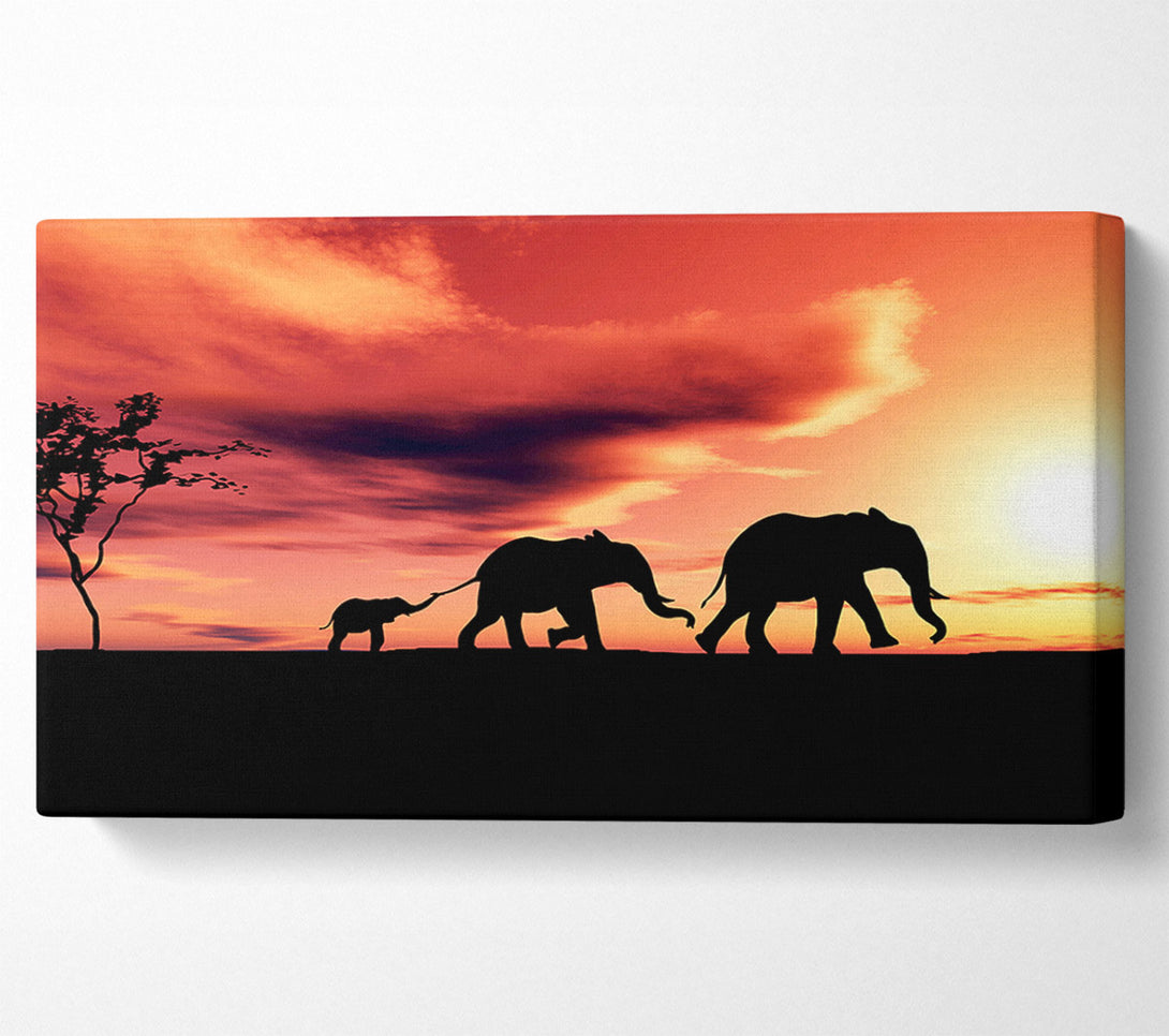  A Canvas Print of Elephant Family Sunset Canvas Art