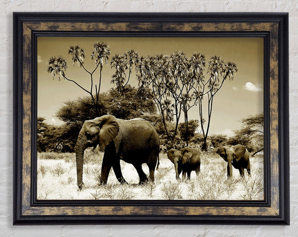 Elephant Family Framed Print