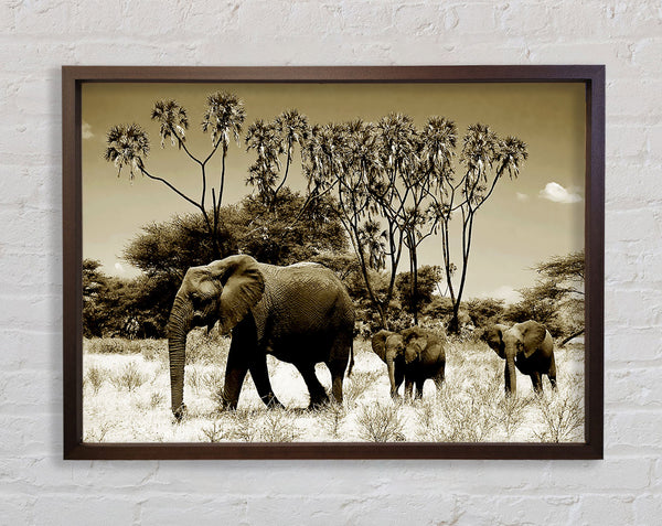 Elephant Family Framed Print