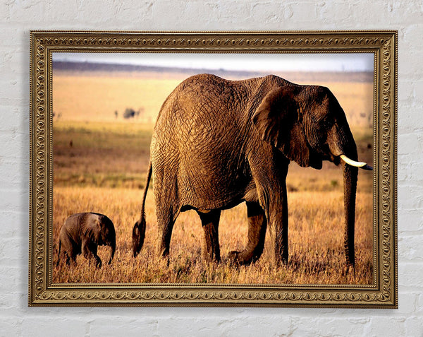 Elephant Mother And Baby Framed Print