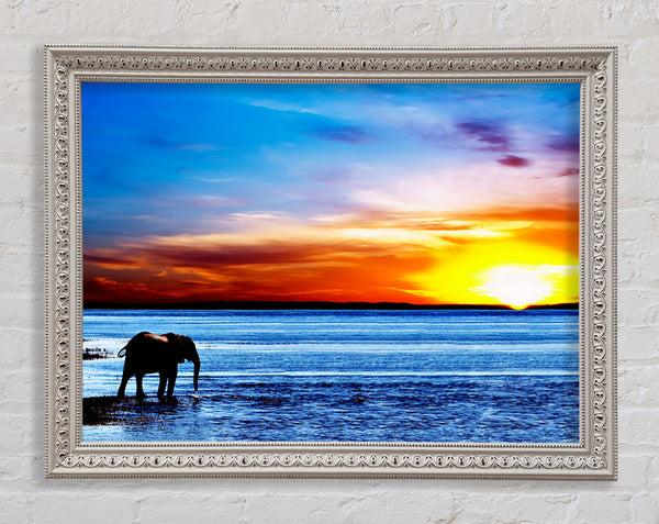 Elephant Ocean Framed Print