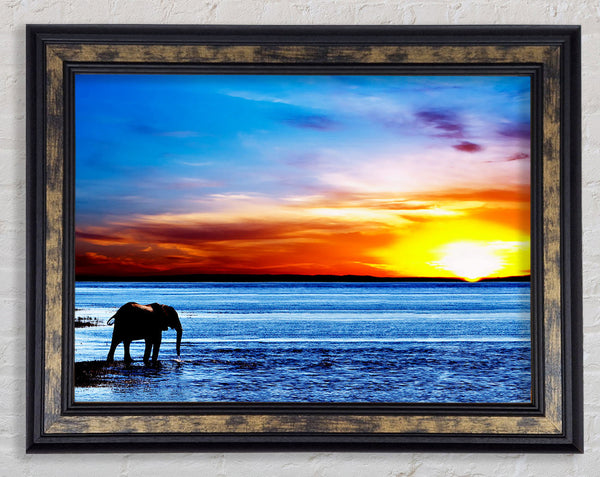 Elephant Ocean Framed Print