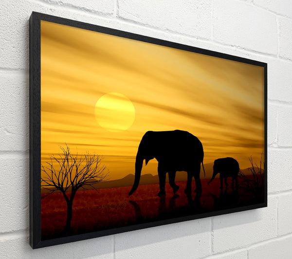 Elephant Safari Desert