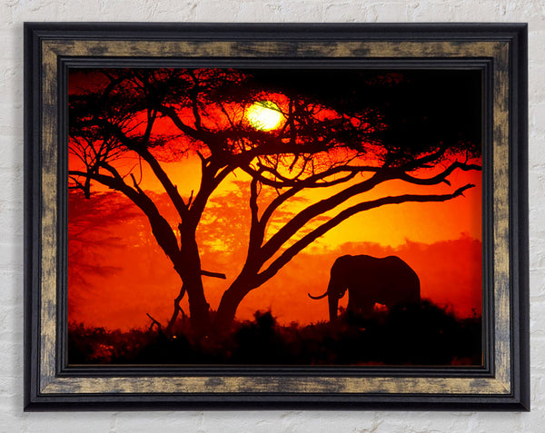 Elephant Safari Sunrise Framed Print