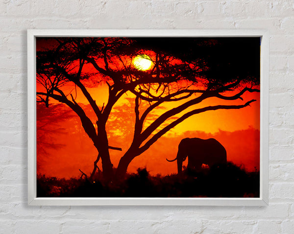 Elephant Safari Sunrise Framed Print