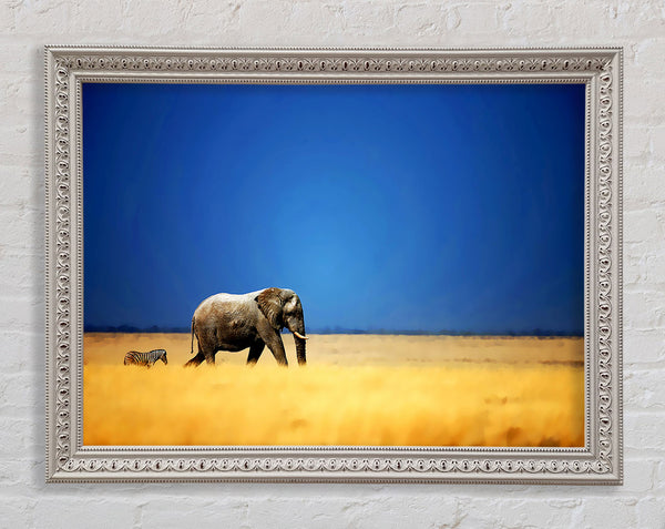 Elephant Safari Framed Print