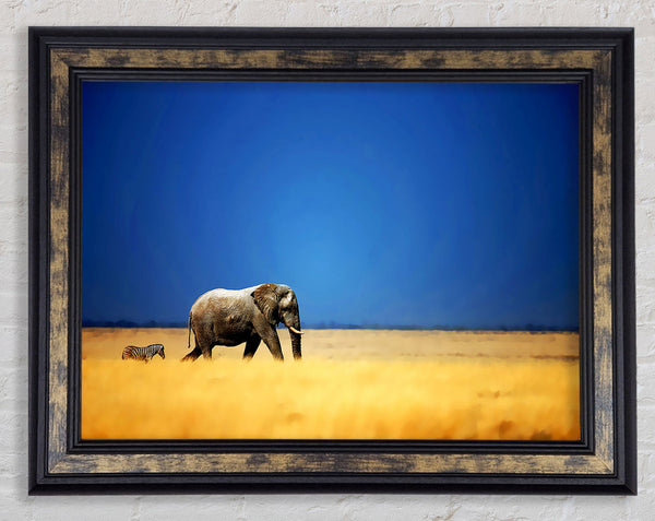 Elephant Safari Framed Print