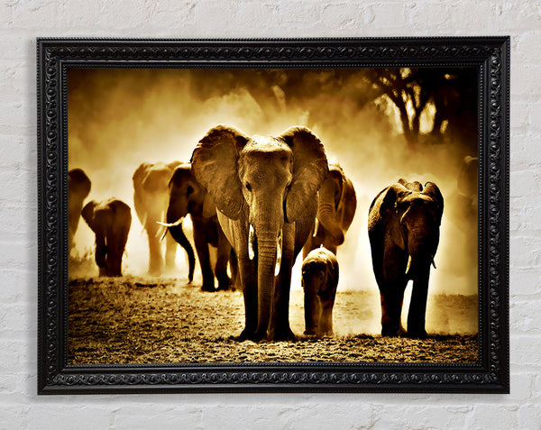 Elephant Stampede Framed Print