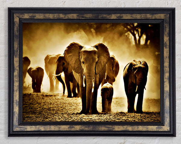 Elephant Stampede Framed Print