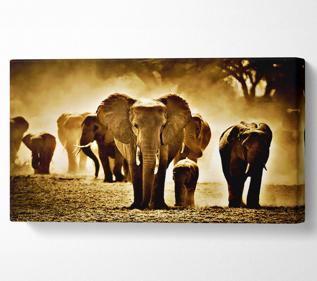  A Canvas Print of Elephant Stampede Canvas Art