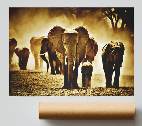 Elephant Stampede Poster