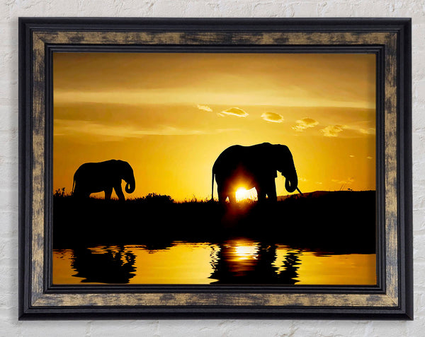 Elephants Watering Hole Framed Print