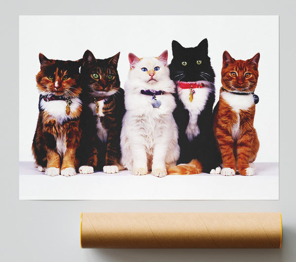 Family Of Cats Print