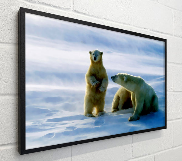 Family Of Polar Bears