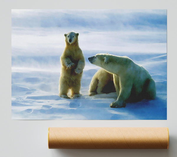 Family Of Polar Bears Print