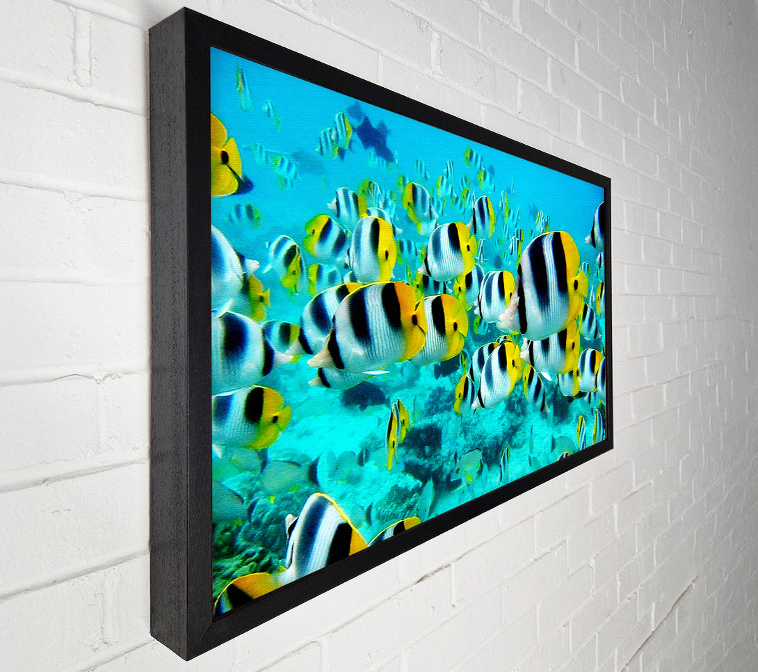  A Canvas Print of Fish Fury Canvas Art