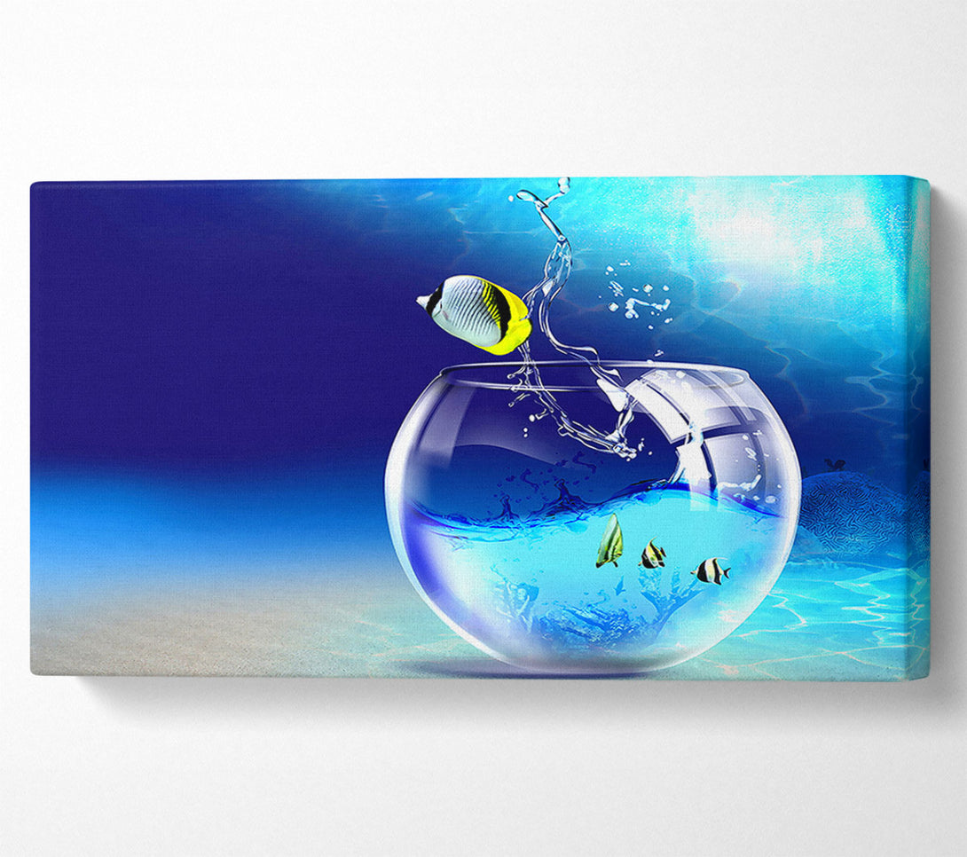  A Canvas Print of Fishy Life Canvas Art