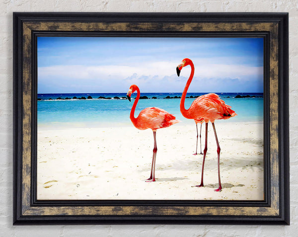 Flamingo Paradise Framed Print