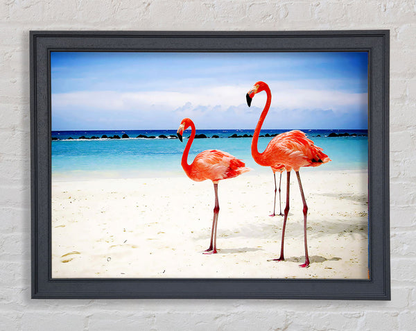 Flamingo Paradise Framed Print