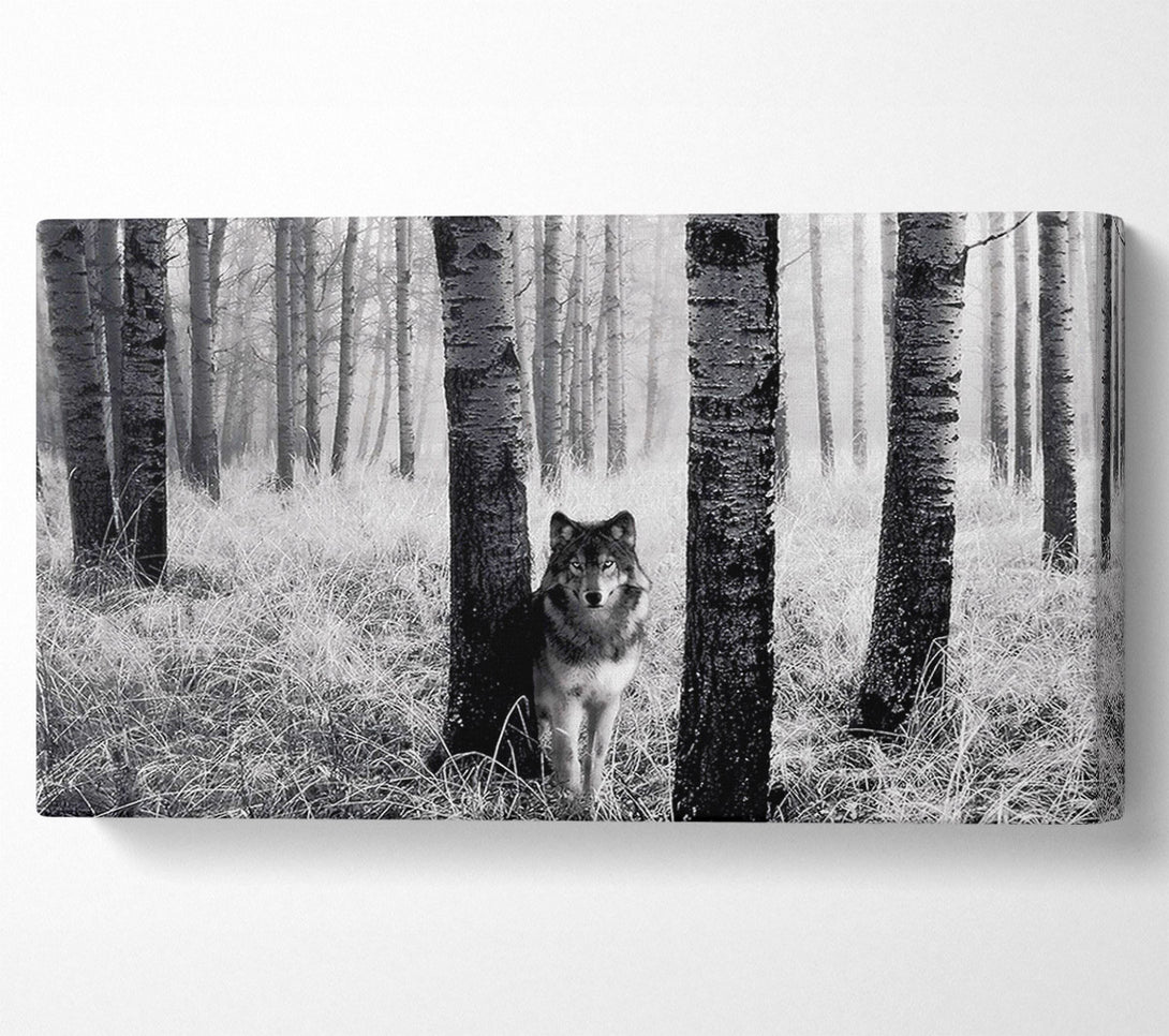  A Canvas Print of Forest Wolf Canvas Art