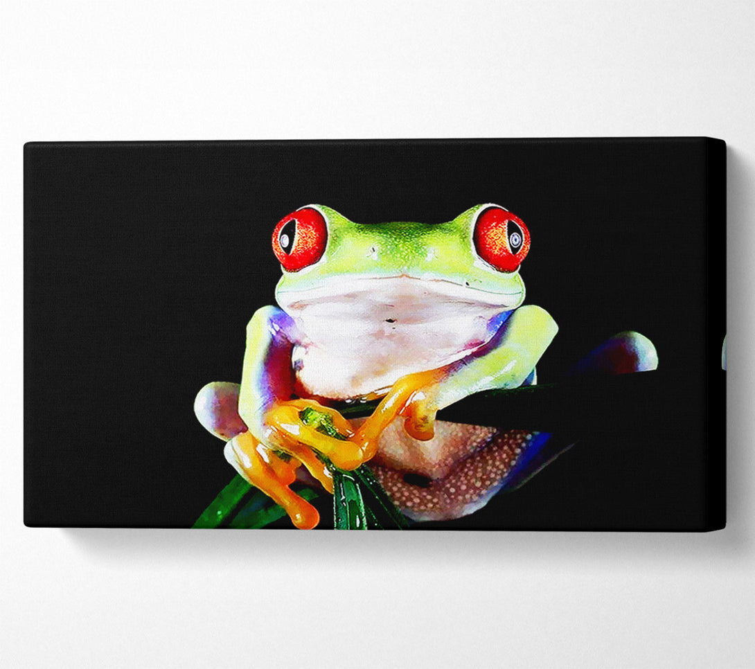  A Canvas Print of Frog Eyes Canvas Wall Art