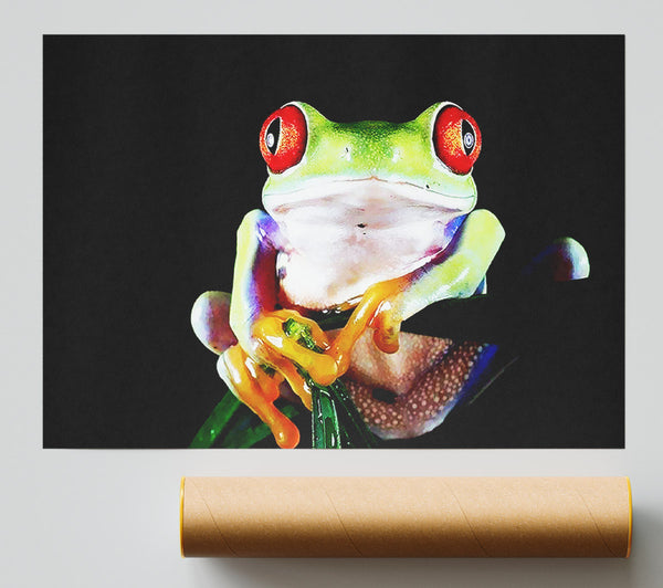 Frog Eyes Print