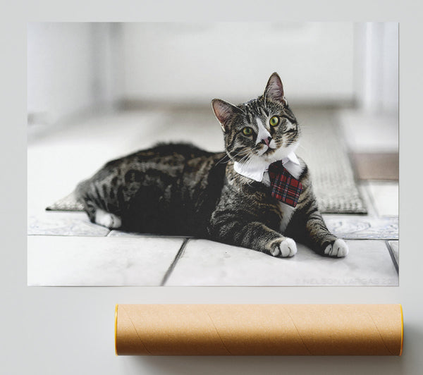 Funny Cat Wears Tie Print