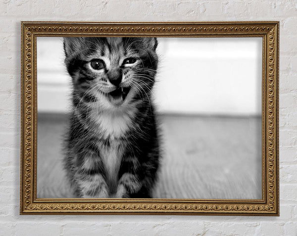 Funny Kitten Framed Print