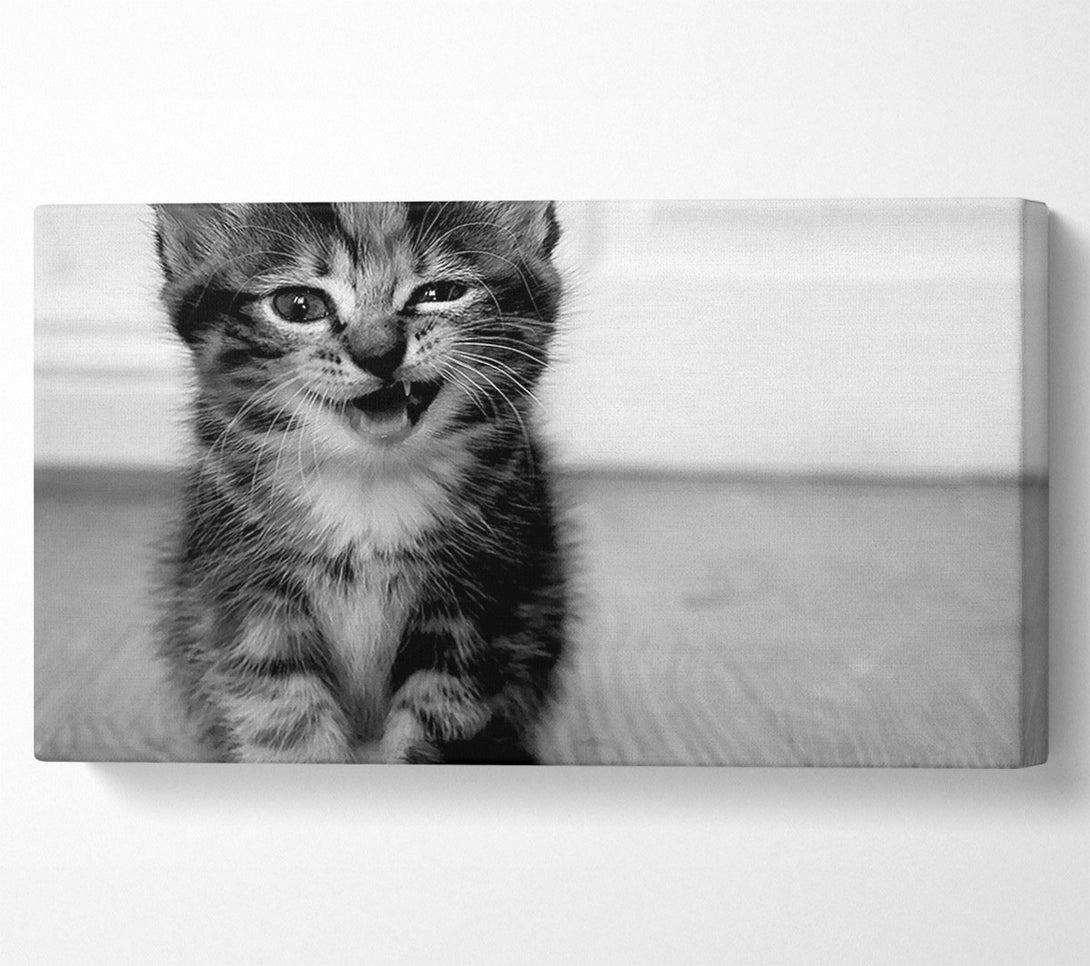  A Canvas Print of Funny Kitten Canvas Art
