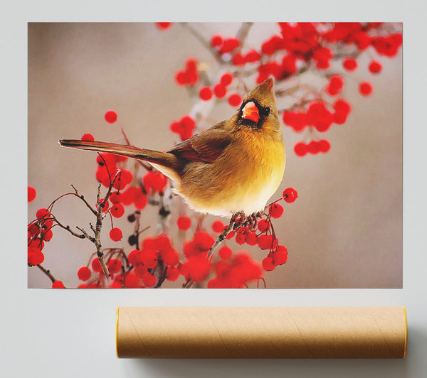 Garden Bird Print