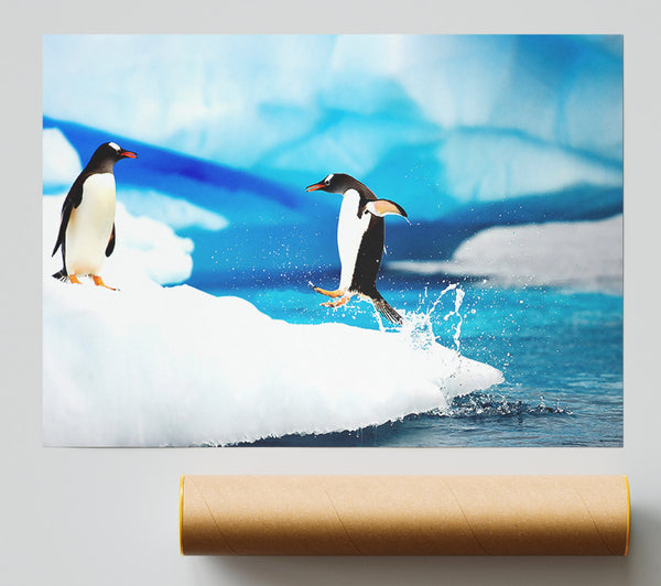 Gentoo Penguins Antarctica Giclee Print