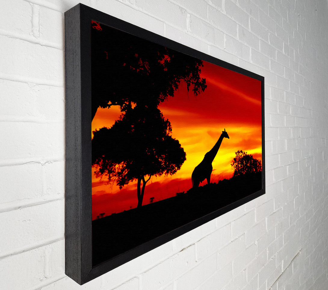  A Canvas Print of Giraffe At Dawn Canvas Print