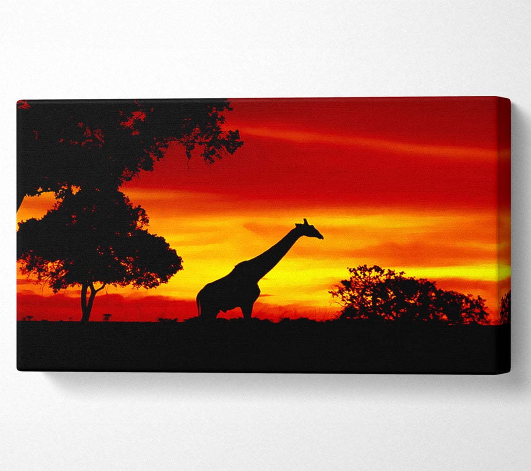  A Canvas Print of Giraffe At Dawn Canvas Print