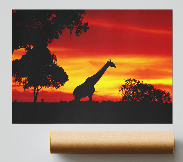 Giraffe At Dawn Print