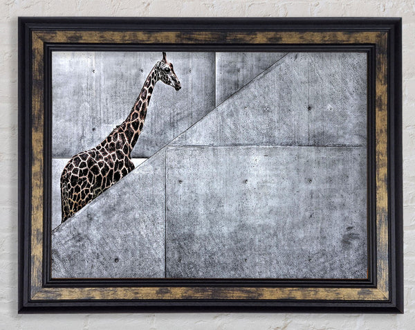 Giraffe Climbing Stairs Framed Print