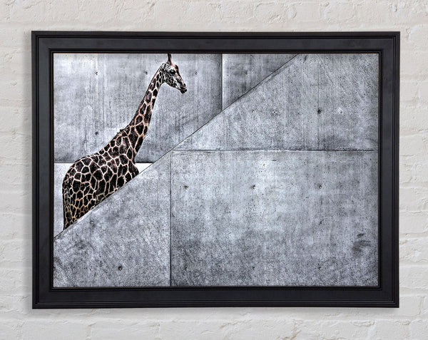 Giraffe Climbing Stairs Framed Print