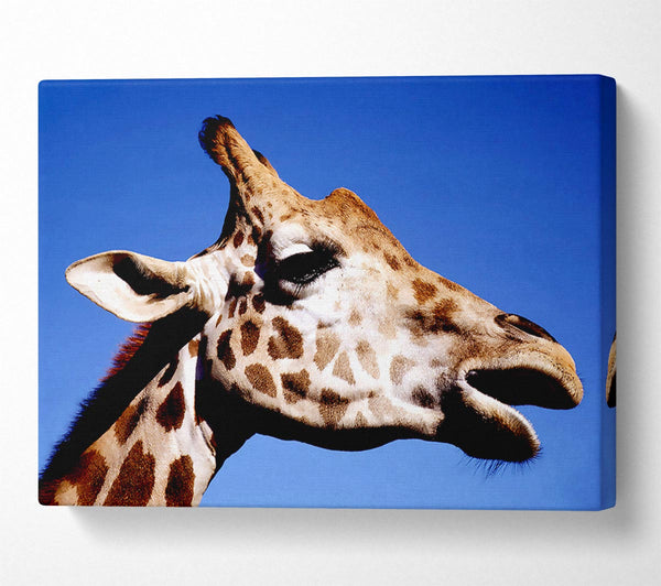  A Canvas Print of Giraffe Head Canvas Wall Art