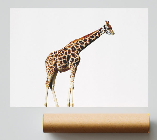 Giraffe Neck Print