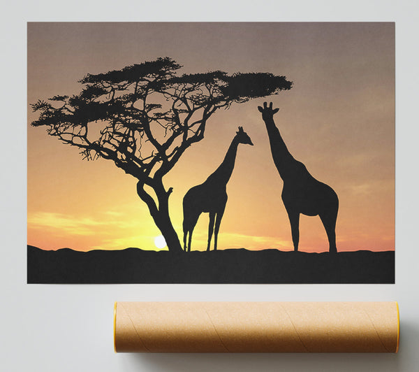 Giraffes At Sunset Giclee Print