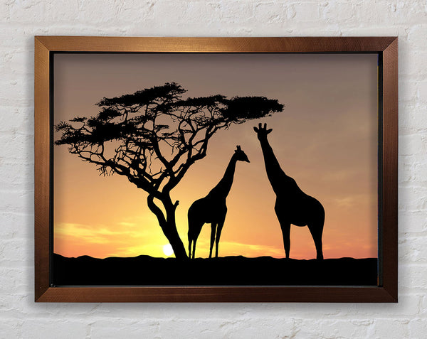 Giraffes At Sunset Framed Print