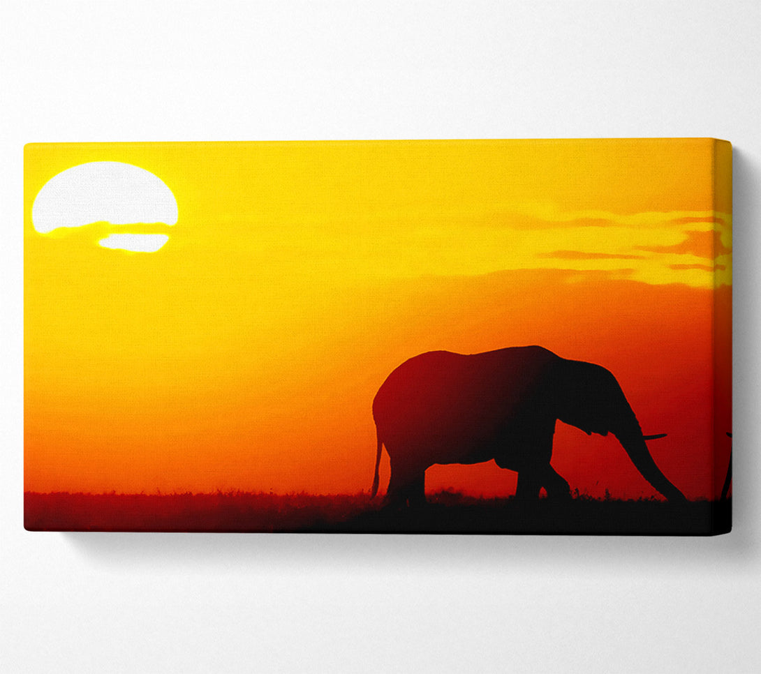  A Canvas Print of Golden Elephant Canvas Art